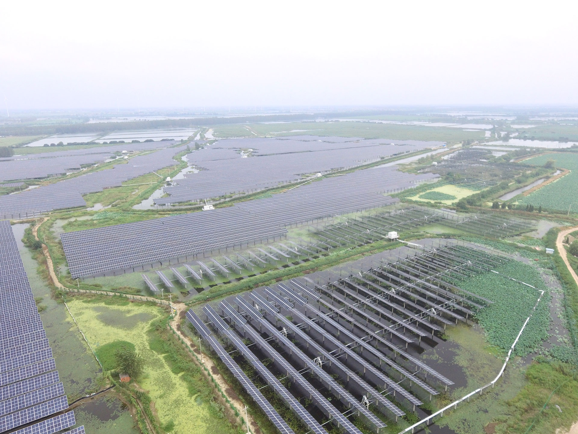 kaiyun(中国)科技江苏扬州宝应光伏发电应用领跑基地2号100兆瓦项目